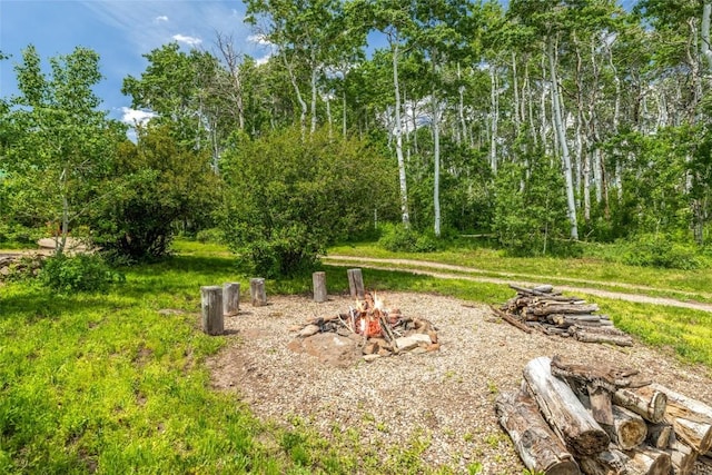 389 Routt Forest Loop, Craig, CO 81625 - view of yard with an outdoor fire pit