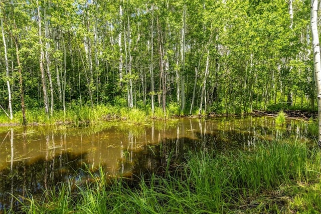 389 Routt Forest Loop, Craig, CO 81625 - view of local wilderness