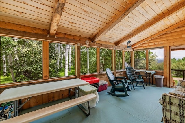 389 Routt Forest Loop, Craig, CO 81625 - sunroom / solarium featuring carpet and wooden ceiling