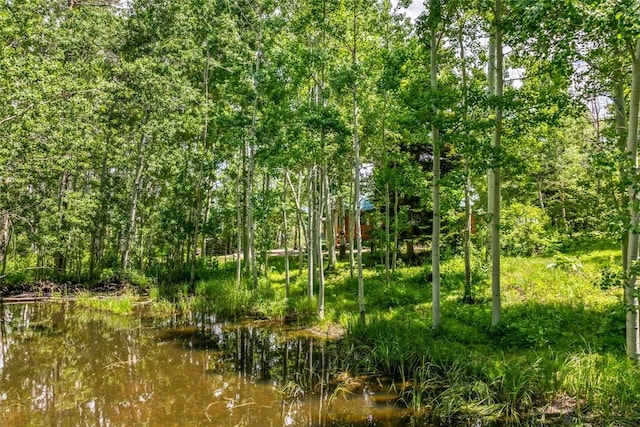 389 Routt Forest Loop, Craig, CO 81625 - view of local wilderness
