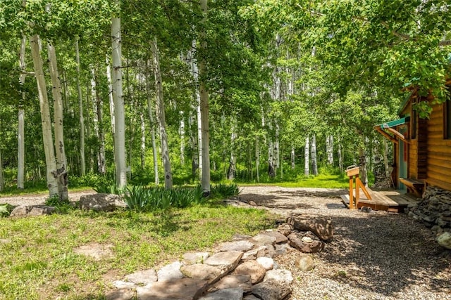 389 Routt Forest Loop, Craig, CO 81625 - view of yard
