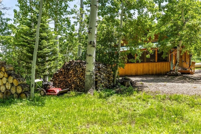 389 Routt Forest Loop, Craig, CO 81625 - view of yard