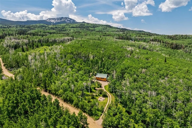 389 Routt Forest Loop, Craig, CO 81625 - drone / aerial view of a forest