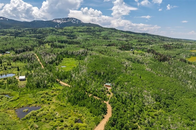 389 Routt Forest Loop, Craig, CO 81625 - drone / aerial view of a forest and a mountain backdrop