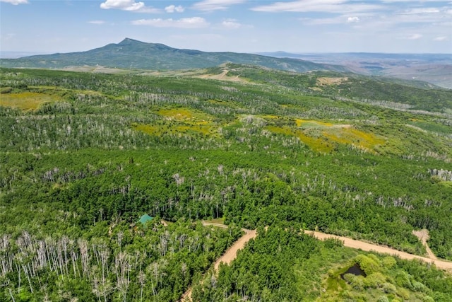 389 Routt Forest Loop, Craig, CO 81625 - mountain view with a heavily wooded area