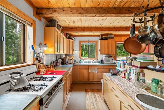 389 Routt Forest Loop, Craig, CO 81625 - kitchen with white appliances, a wooden ceiling with exposed beams, light wood-style floors, and light countertops