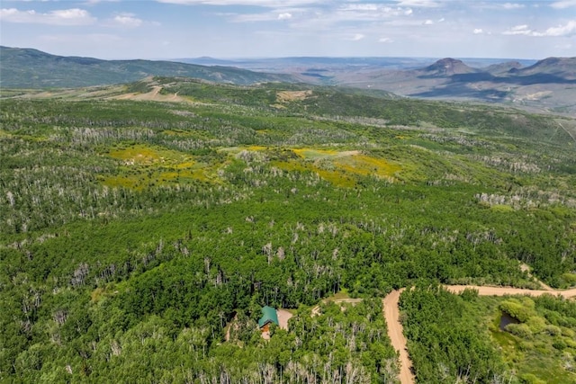 389 Routt Forest Loop, Craig, CO 81625 - view of mountain background featuring a forest