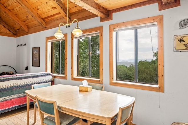 389 Routt Forest Loop, Craig, CO 81625 - dining space with wooden ceiling and wood finished floors