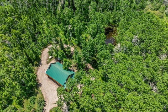 389 Routt Forest Loop, Craig, CO 81625 - aerial view