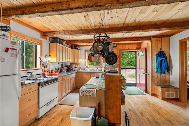 389 Routt Forest Loop, Craig, CO 81625 - kitchen featuring white appliances, plenty of natural light, light wood-style flooring, a wood ceiling with exposed beams, and a kitchen island