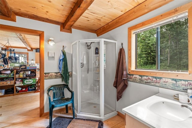 389 Routt Forest Loop, Craig, CO 81625 - bathroom with a wooden ceiling with exposed beams, healthy amount of natural light, a shower stall, wood-type flooring, and vanity