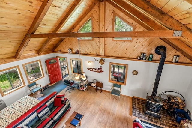 389 Routt Forest Loop, Craig, CO 81625 - living area featuring a wood stove, wooden ceiling, and wood finished floors