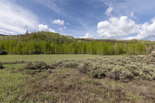 29875 Rock Point Trl, Oak Creek, CO 80467