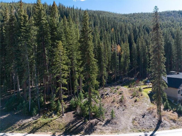 45 W Trade Ct, Keystone, CO 80435