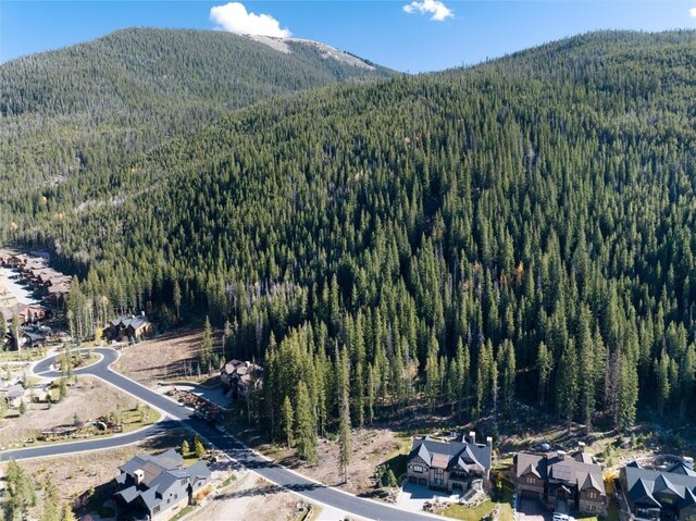 45 W Trade Ct, Keystone, CO 80435