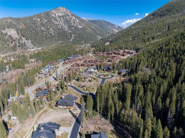 45 W Trade Ct, Keystone, CO 80435