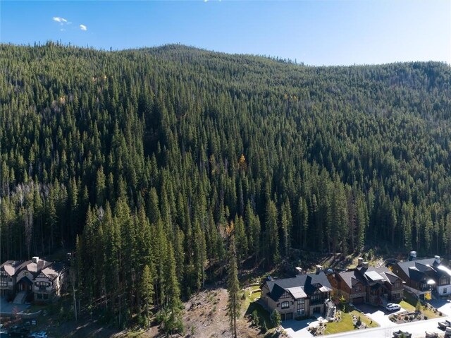 45 W Trade Ct, Keystone, CO 80435