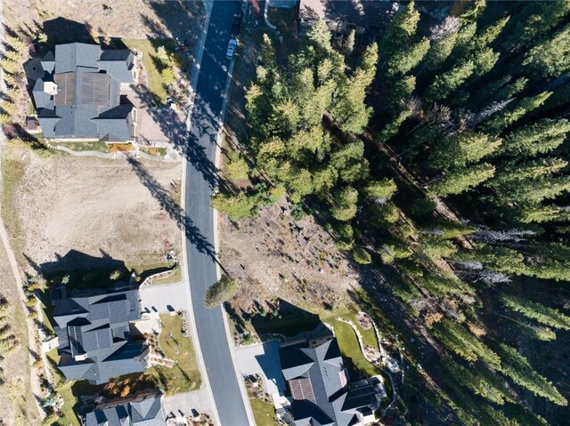 45 W Trade Ct, Keystone, CO 80435