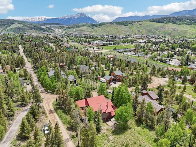 785 Tanglewood Ln, Silverthorne, CO 80498 - photo 48