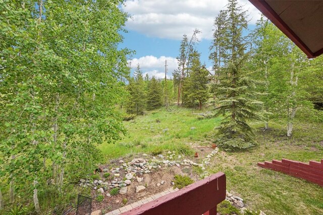 785 Tanglewood Ln, Silverthorne, CO 80498 - photo 46
