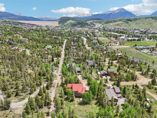 785 Tanglewood Ln, Silverthorne, CO 80498 - photo 49