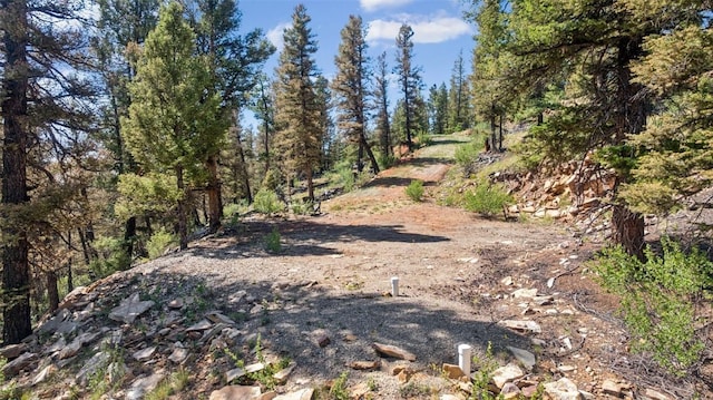 1050 Middle Fork Vis, Fairplay, CO 80440