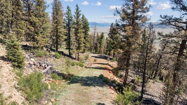 1050 Middle Fork Vis, Fairplay, CO 80440