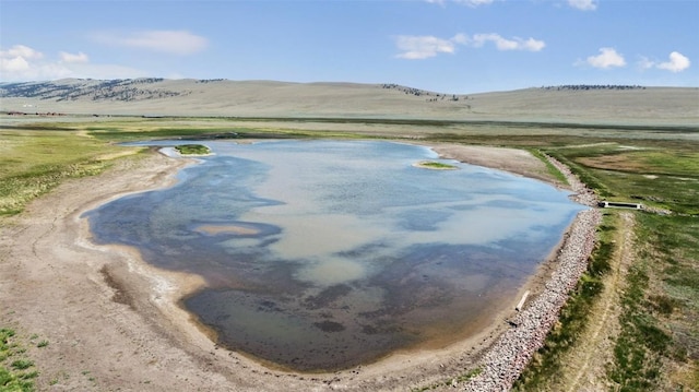 1050 Middle Fork Vis, Fairplay, CO 80440