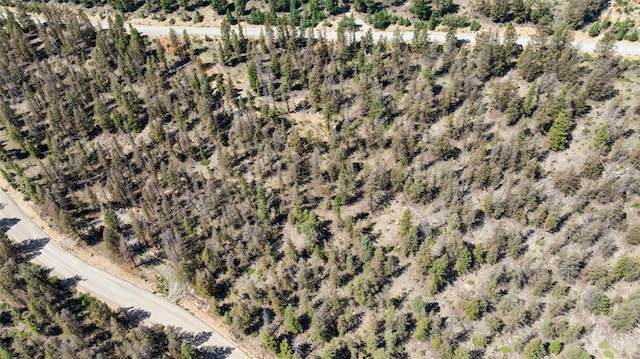 1050 Middle Fork Vis, Fairplay, CO 80440