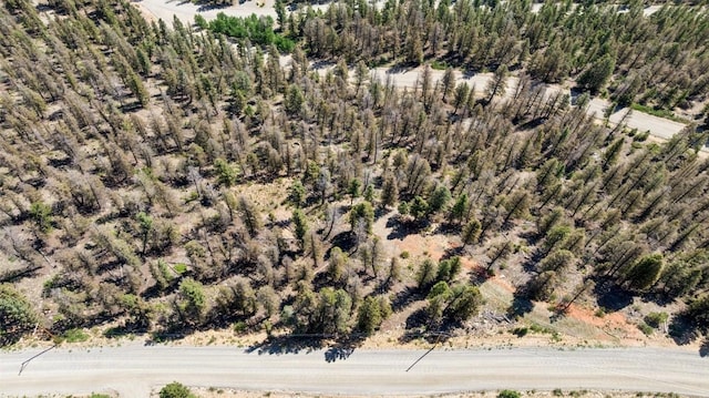 1050 Middle Fork Vis, Fairplay, CO 80440