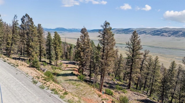 1050 Middle Fork Vis, Fairplay, CO 80440