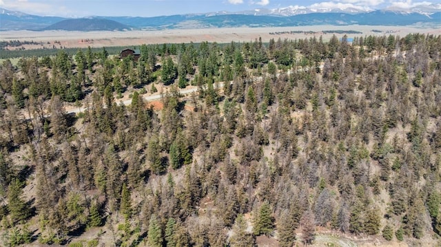 1050 Middle Fork Vis, Fairplay, CO 80440