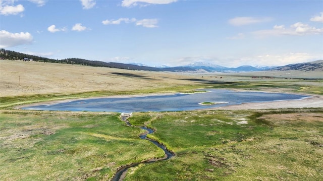 1050 Middle Fork Vis, Fairplay, CO 80440