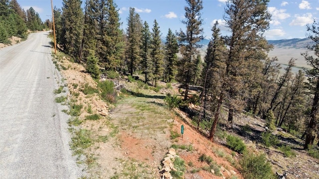 1050 Middle Fork Vis, Fairplay, CO 80440