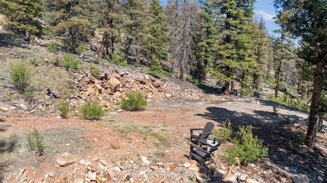 1050 Middle Fork Vis, Fairplay, CO 80440