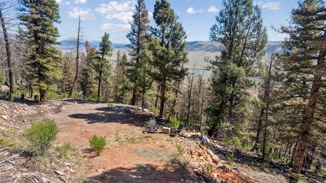 1050 Middle Fork Vis, Fairplay, CO 80440