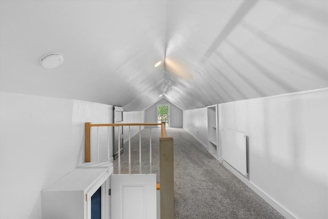 225 N Poplar St, Hayden, CO 81639 - bonus room featuring carpet and vaulted ceiling