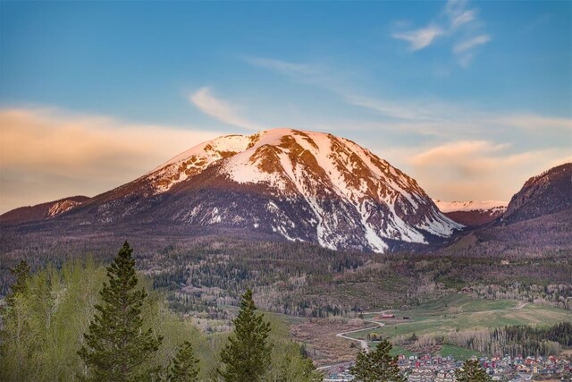 194 Angler Mountain Ranch Rd S, Silverthorne, CO 80498