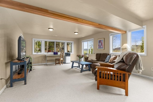 1763 Brome Dr, Steamboat Springs, CO 80487 - living area featuring carpet, an office area, baseboards, and beamed ceiling