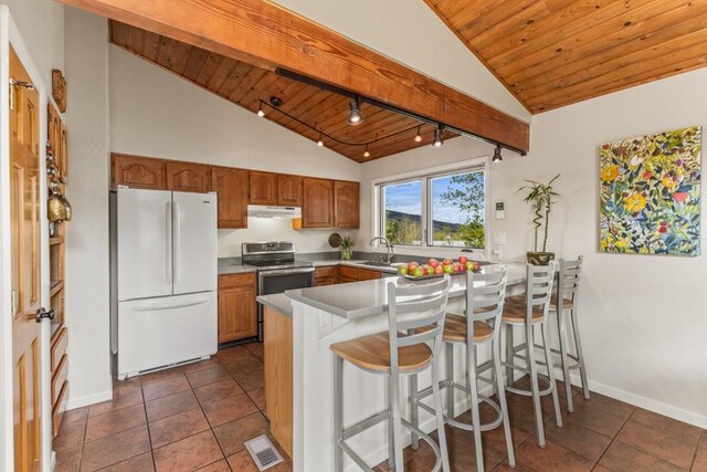 1763 Brome Dr, Steamboat Springs, CO 80487 - kitchen with freestanding refrigerator, stainless steel range with electric stovetop, wood ceiling, a sink, and a peninsula