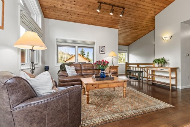 1763 Brome Dr, Steamboat Springs, CO 80487 - living area with track lighting, wood ceiling, wood finished floors, baseboards, and vaulted ceiling