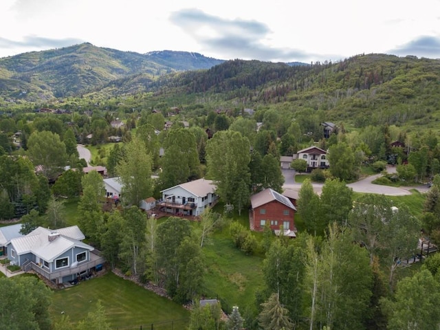 1763 Brome Dr, Steamboat Springs, CO 80487 - drone / aerial view of a mountain backdrop and a heavily wooded area