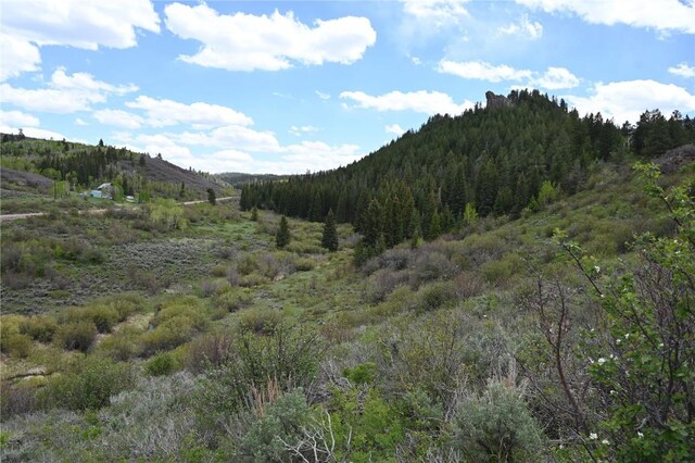 22950 Snowbird Way, Oak Creek, CO 80467