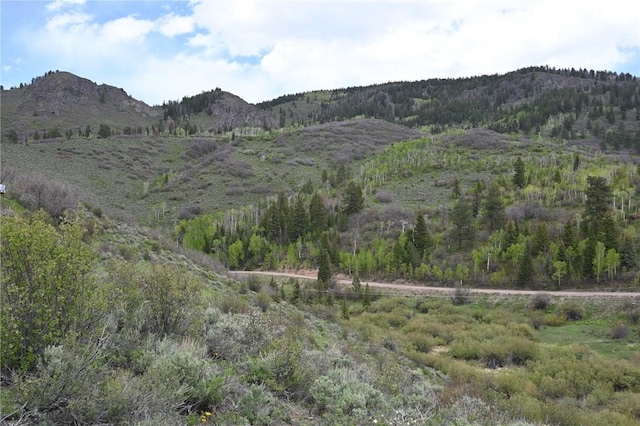22950 Snowbird Way, Oak Creek, CO 80467