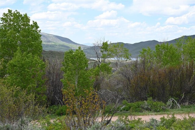 22950 Snowbird Way, Oak Creek, CO 80467