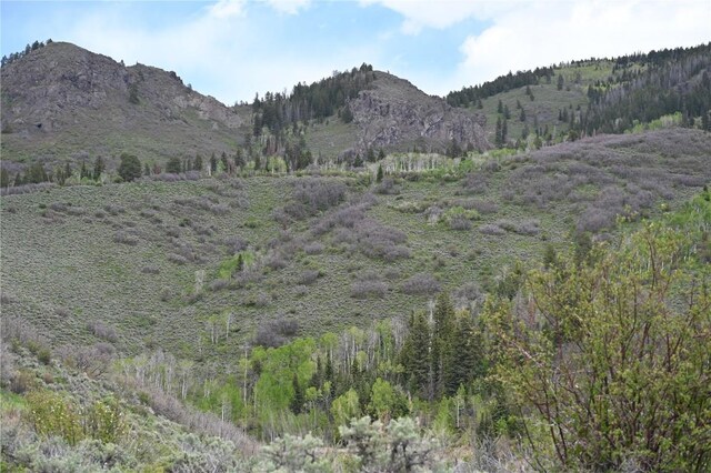 22950 Snowbird Way, Oak Creek, CO 80467