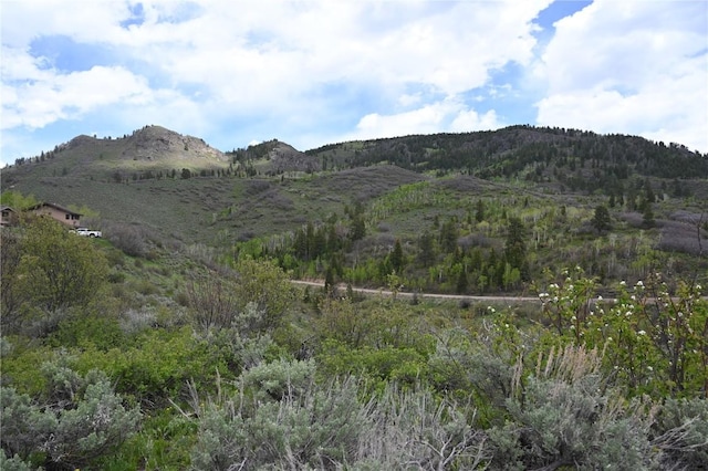 22950 Snowbird Way, Oak Creek, CO 80467