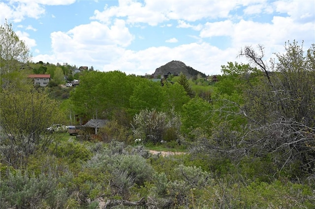 22950 Snowbird Way, Oak Creek, CO 80467
