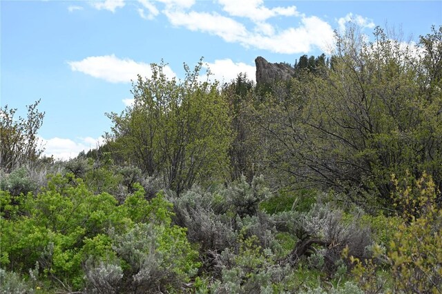 22950 Snowbird Way, Oak Creek, CO 80467