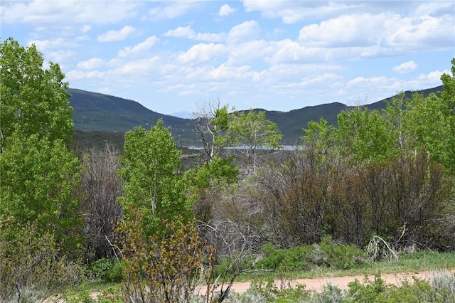 22950 Snowbird Way, Oak Creek, CO 80467
